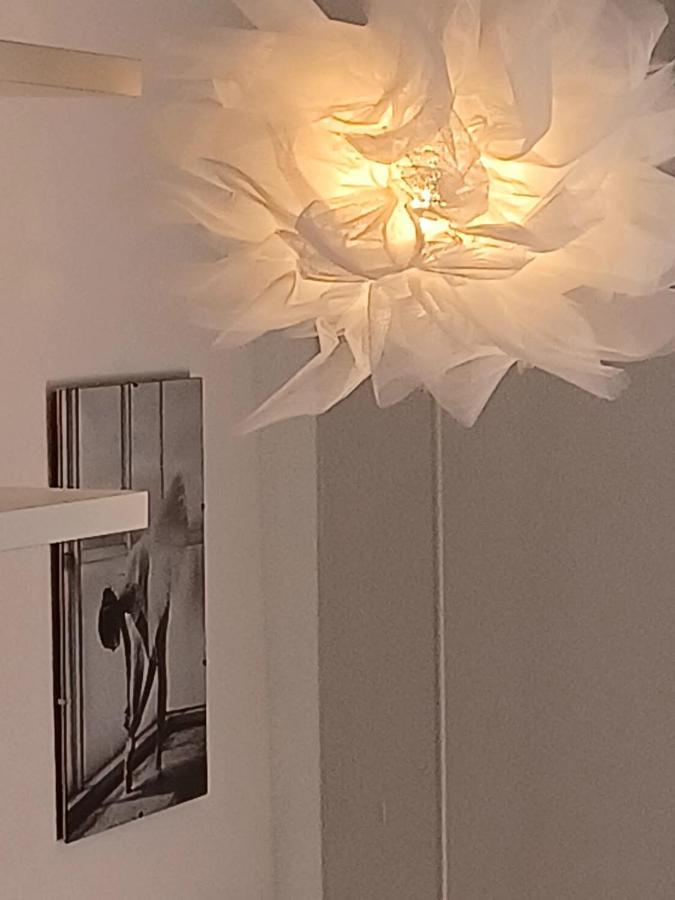 Bella Vista Apartment Šibenik Esterno foto